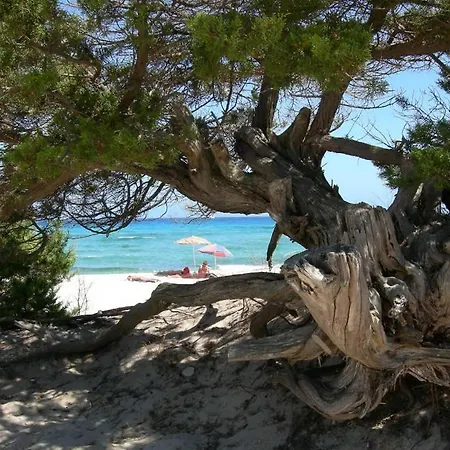 Stunning Bouganvillage 2 Bed Sleep 6 Διαμέρισμα *